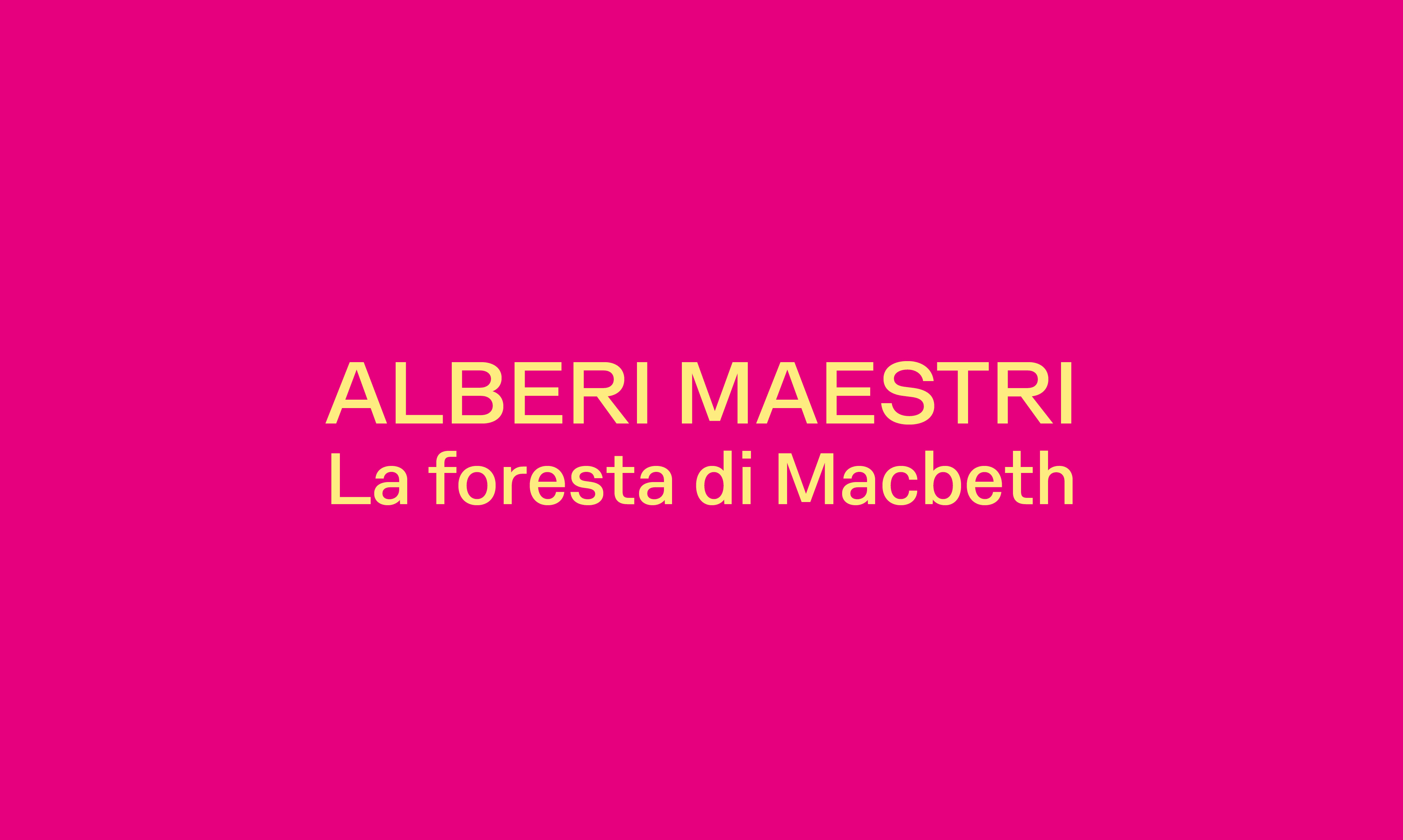 ALBERI MAESTRI  LA FORESTA DI MACBETH